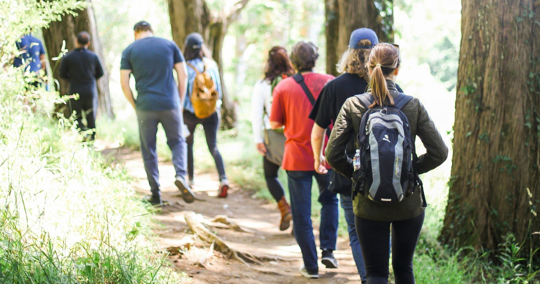 En grupp människor på skogspromenad.